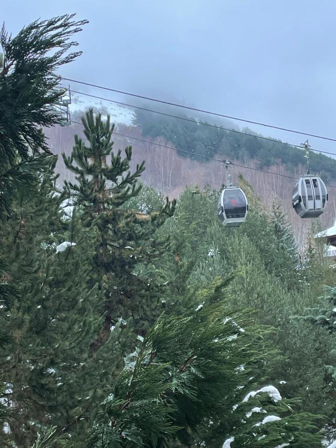 Baqueira 1500 Apartment Naut Aran Bagian luar foto